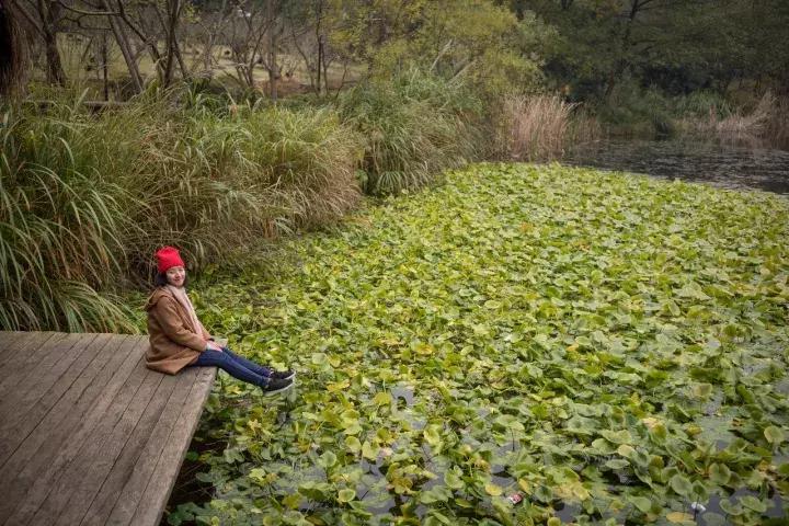 罗莱夏朵杭州紫萱度假村招聘,罗莱夏朵紫萱度假村logo