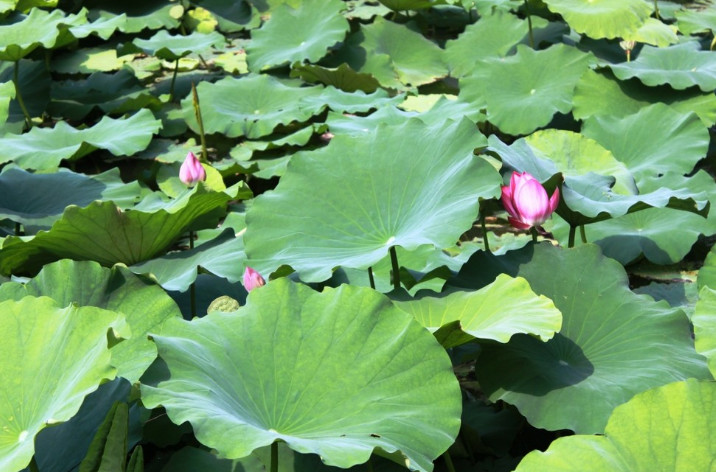 这三个快速晋升的途径，摸透了，你就比别人提拔快
