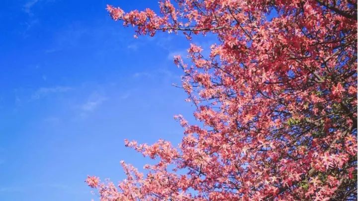 华软科技的趋势,华软科技有多厉害