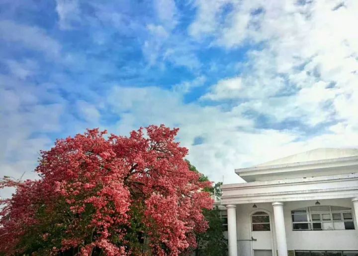 华软科技的趋势,华软科技有多厉害