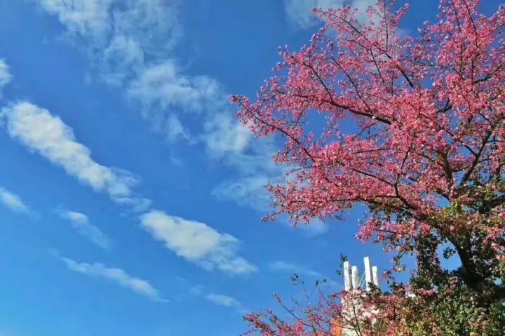 华软科技的趋势,华软科技有多厉害