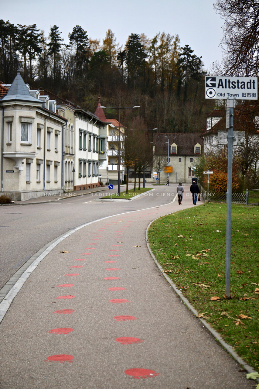 泰迪熊真实存在吗,真正的泰迪熊
