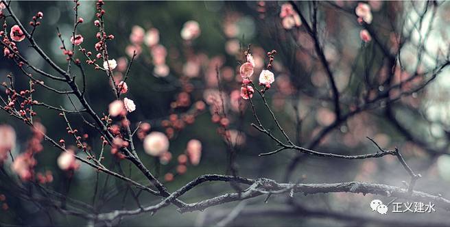 大智若愚的最高境界前一句话,处世警句经典古句摘抄