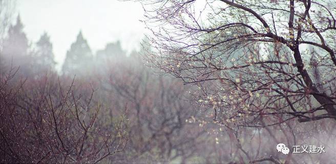 大智若愚的最高境界前一句话,处世警句经典古句摘抄