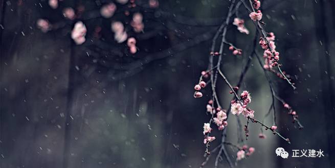 大智若愚的最高境界前一句话,处世警句经典古句摘抄