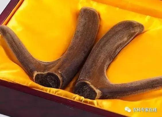 李春义|直径10厘米的伤口,1分钟止血,6天痊愈,谁是幕后推手?