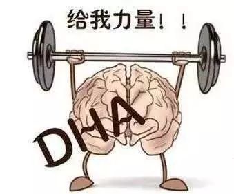 爸妈干货||为什么早产宝宝要特别注意DHA的摄入？
