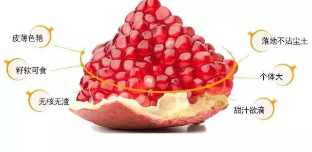 看起来普通？吃一口就懂！每亩还比普通石榴多卖几倍钱！