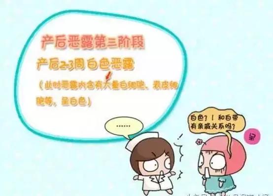 恶露与月经复潮,产后如何正确区分?