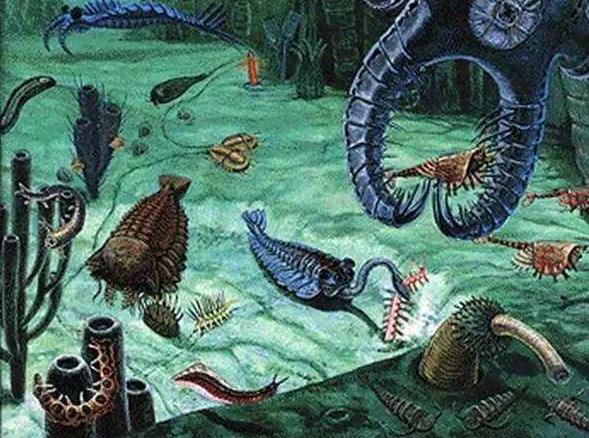 寒武纪有哪些奇怪的生物,寒武纪生物大爆发最主要特征