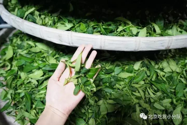 卖包包的茶来了，第1家在西单