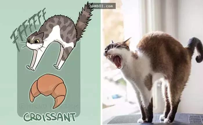 传说中猫有九条命分别是啥,传说中有9条命的猫