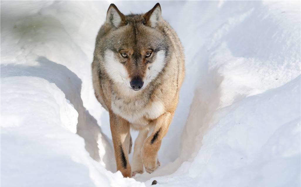 收入和付出不成正比的经典语录,你的付出和收入是成正比的