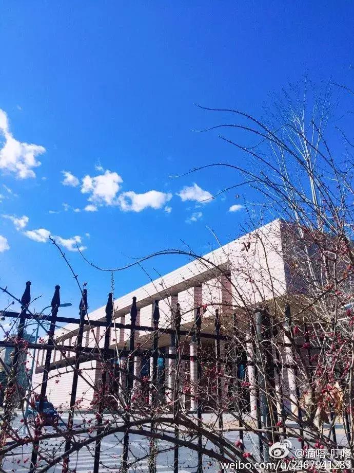 用30秒带你们认识我的家乡天津,如何用三分钟介绍自己的家乡天津