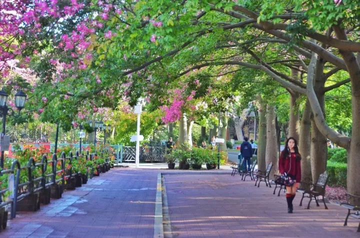 华软科技的趋势,华软科技有多厉害