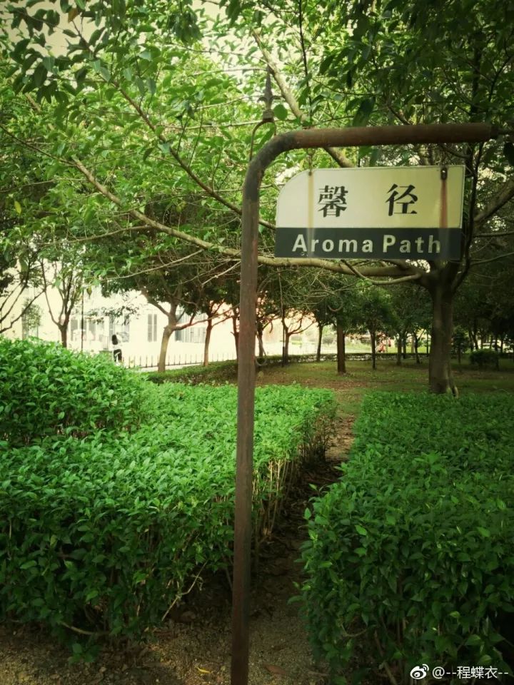 华软科技的趋势,华软科技有多厉害