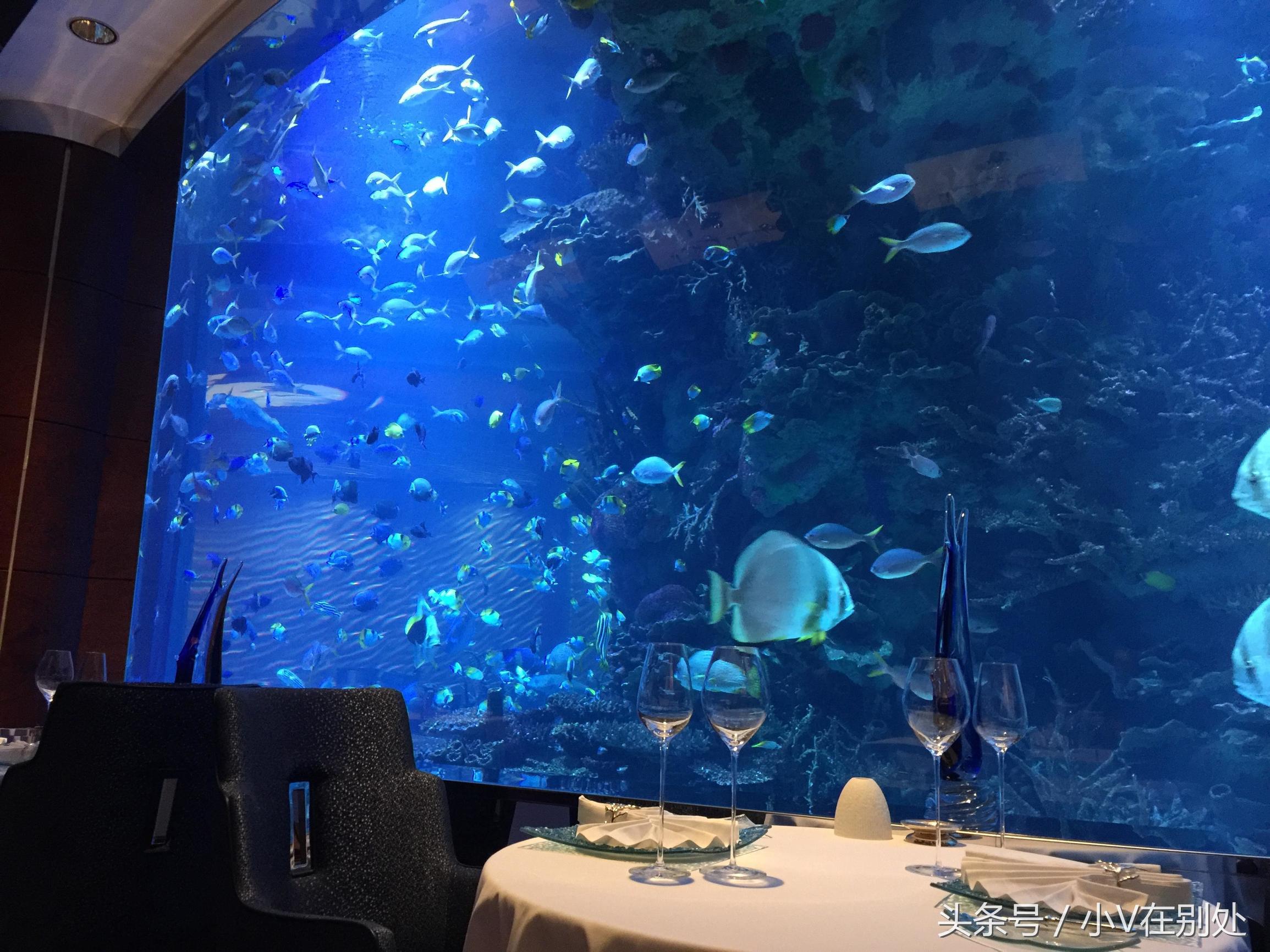 遍地爱马仕,迪拜七星级黄金酒店