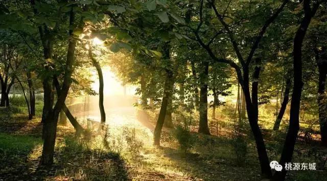 桃源双洲生态公园2020年,桃源双洲公园游乐场新增加设施