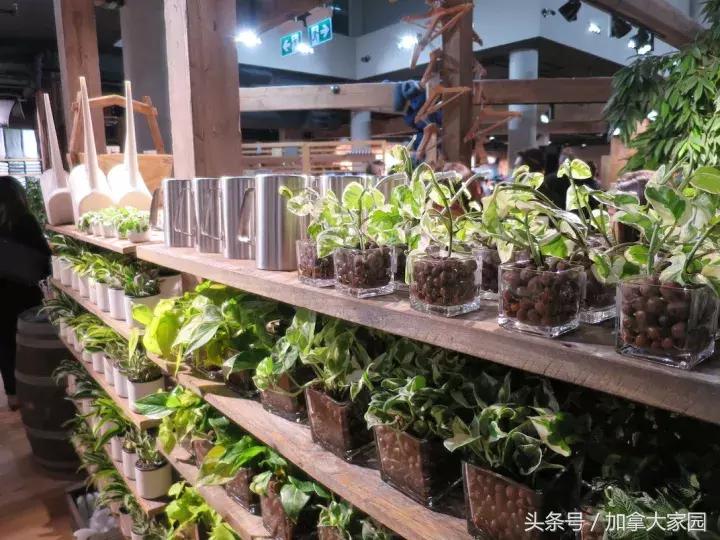 "MUJI北美旗舰店"在温哥华Downtown开业:面积是Metro的一倍!