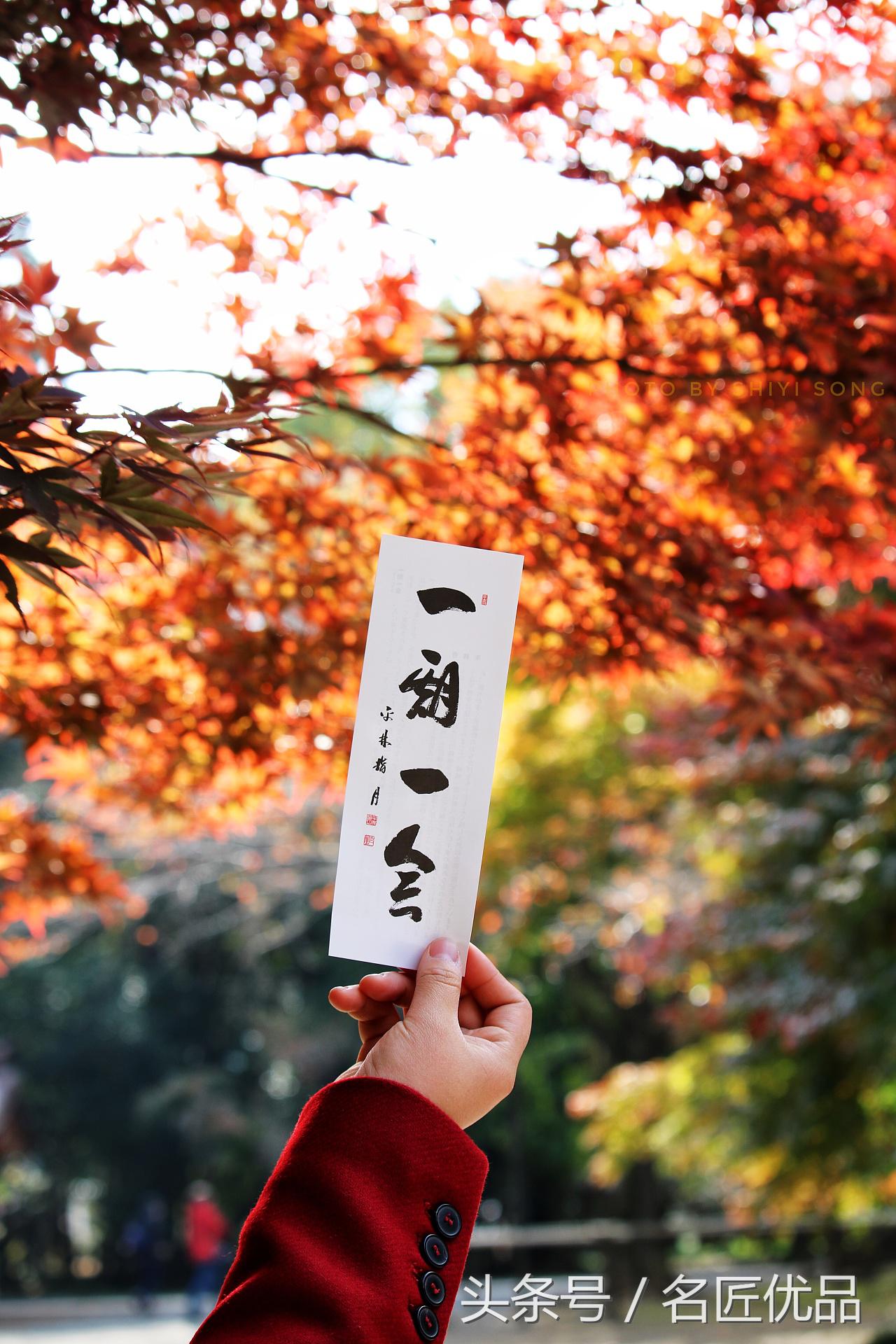 原创：福运快来鸭！日本平林寺外景，手工制作，萌萌哒Q!