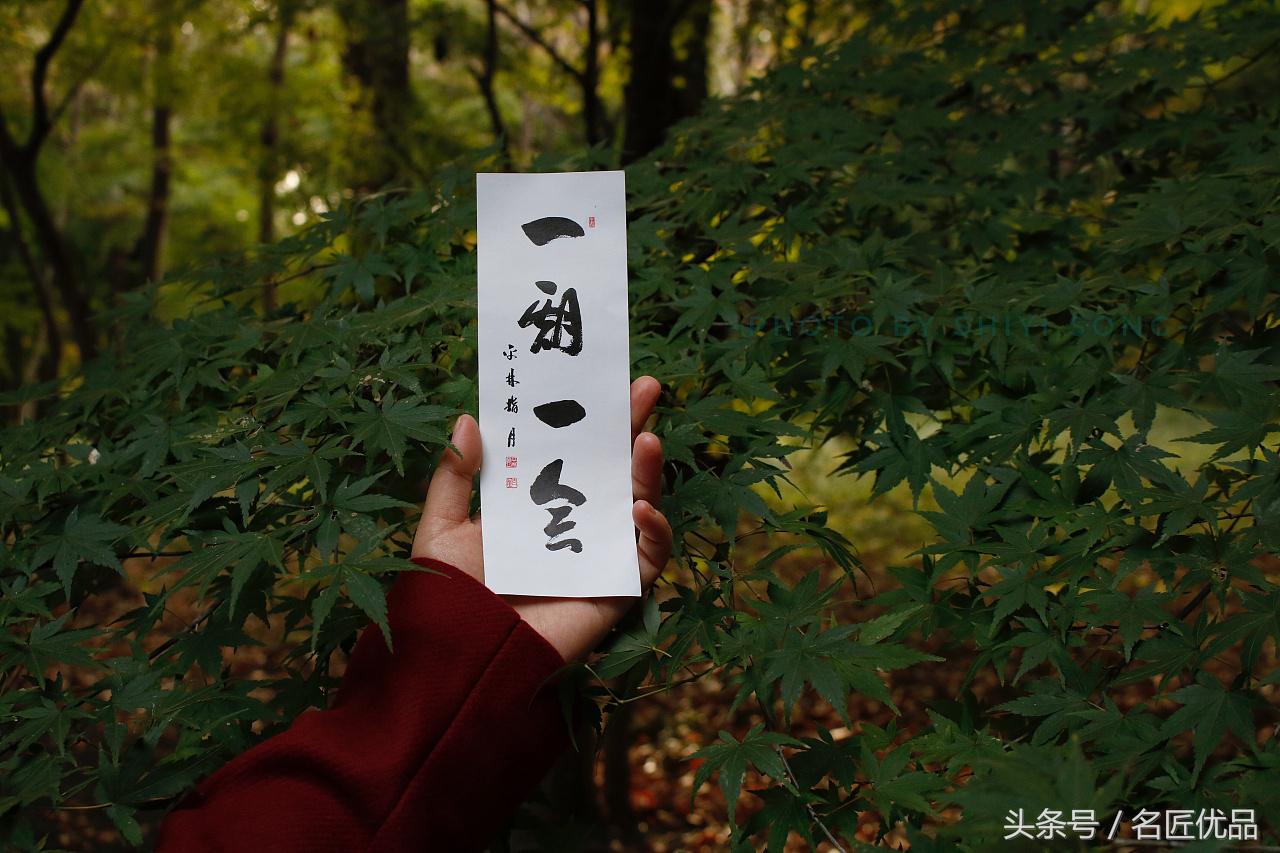 原创：福运快来鸭！日本平林寺外景，手工制作，萌萌哒Q!