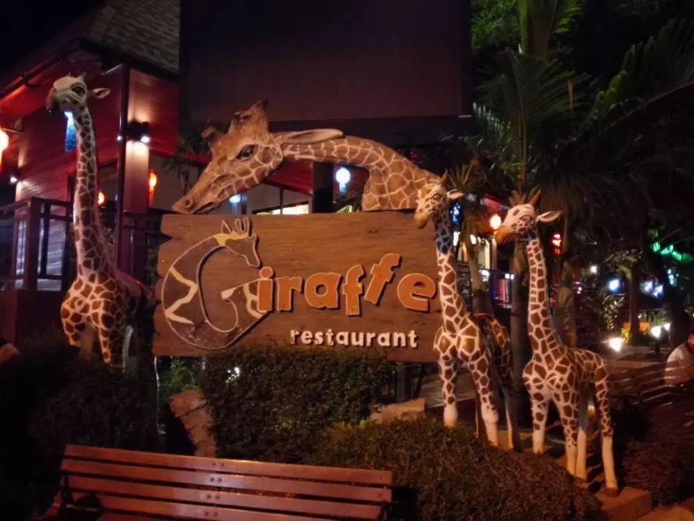 FM专线｜清迈——八万多的Tiffany毛线也买不到的诗和远方