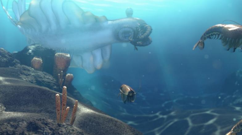 寒武纪有哪些奇怪的生物,寒武纪生物大爆发最主要特征