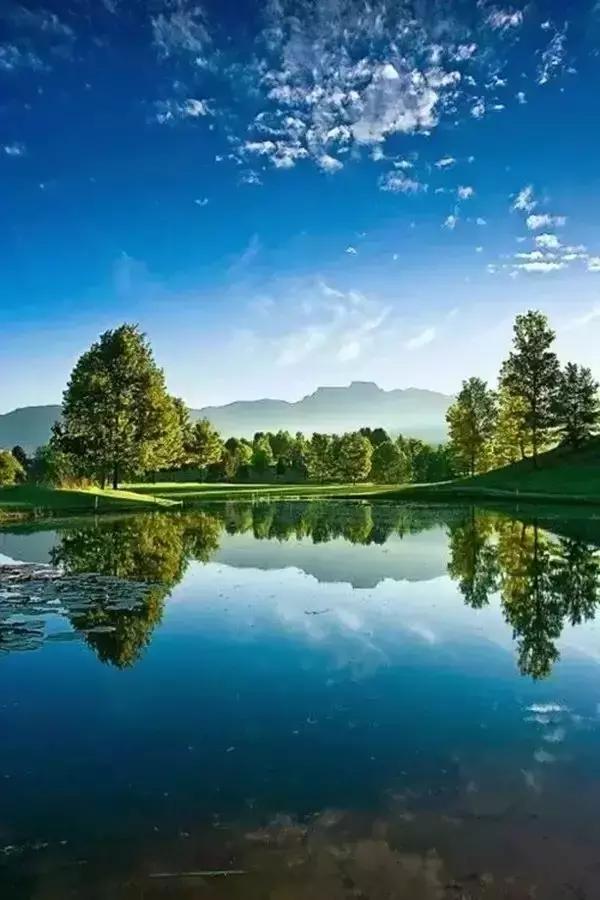 30个历史典故50字,80个文化典故了解中华上下五千年