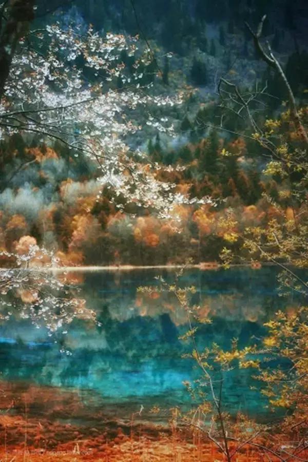 30个历史典故50字,80个文化典故了解中华上下五千年