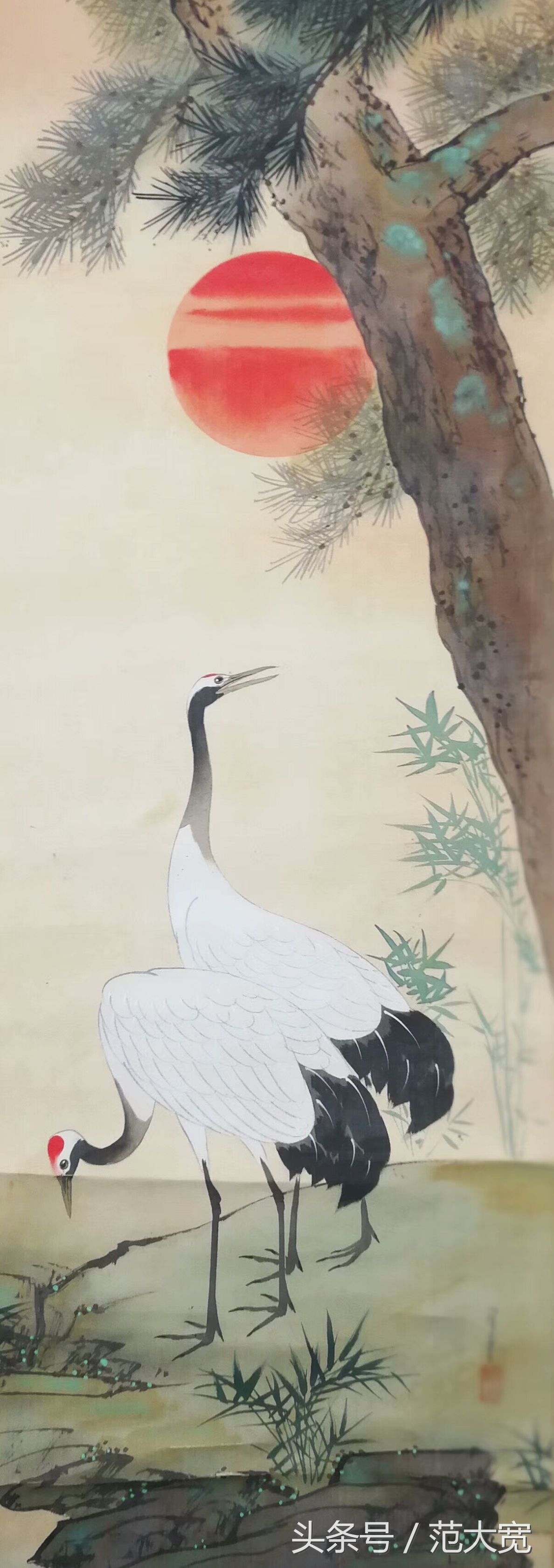 日本画师画仙鹤,仙鹤画作讲解