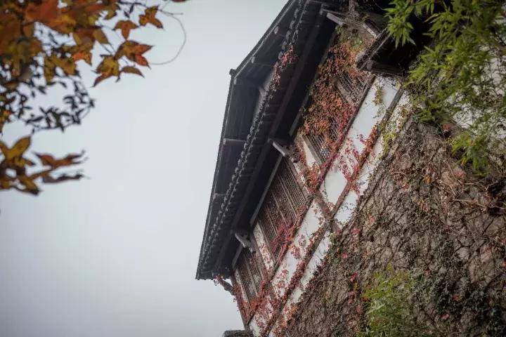 罗莱夏朵杭州紫萱度假村招聘,罗莱夏朵紫萱度假村logo