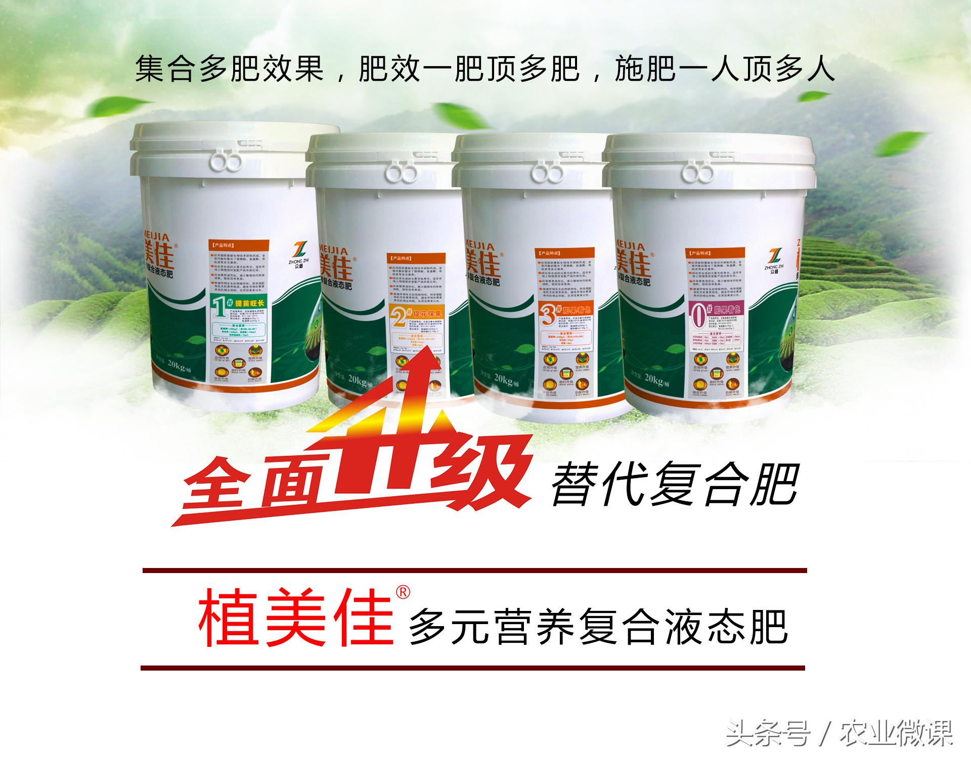 控制西瓜苗疯长,西瓜疯长怎么办视频