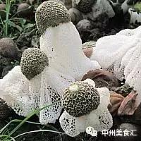 全新升级提供更好的服务,全新升级全新配置