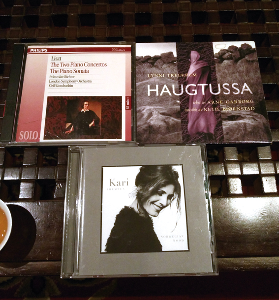 德国aa单声道后级功放,德国前后级功放