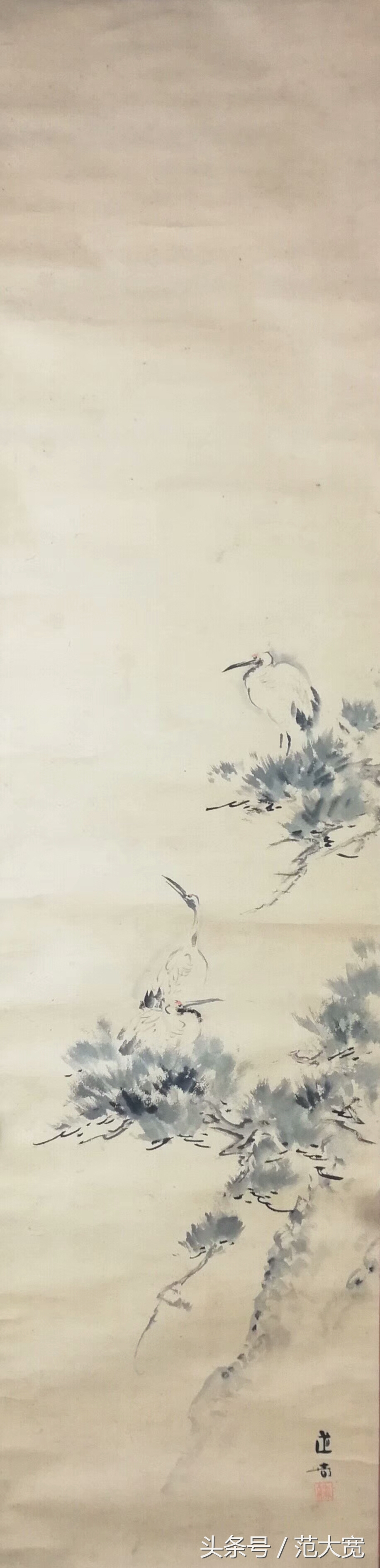 日本画师画仙鹤,仙鹤画作讲解