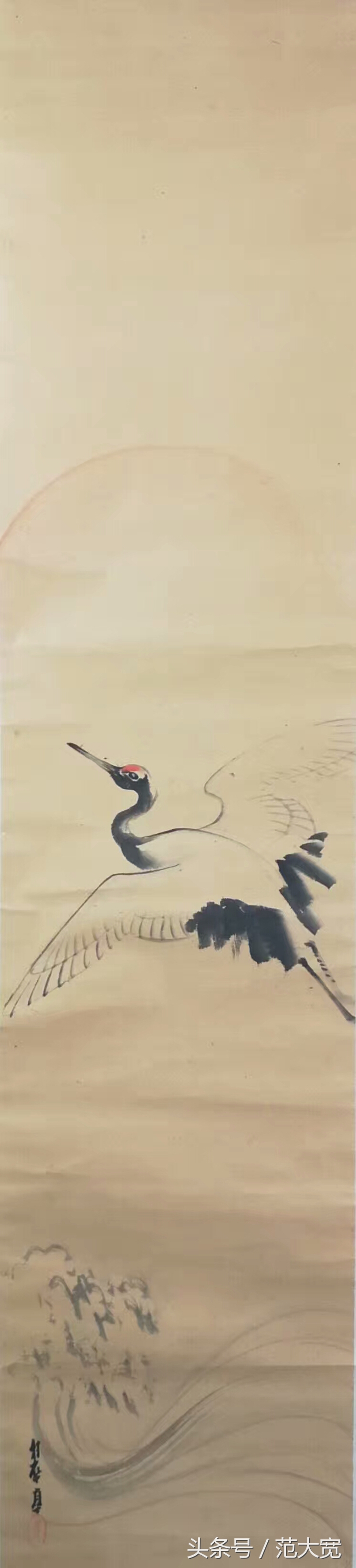 日本画师画仙鹤,仙鹤画作讲解