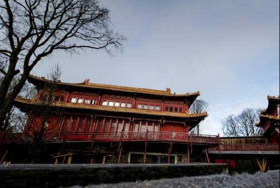 大熊猫龙凤胎宝宝名字,给宝宝取有关大熊猫的名字