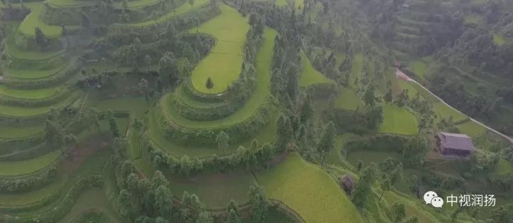 黔西南千户苗寨宣传片,贵州苗寨宣传片