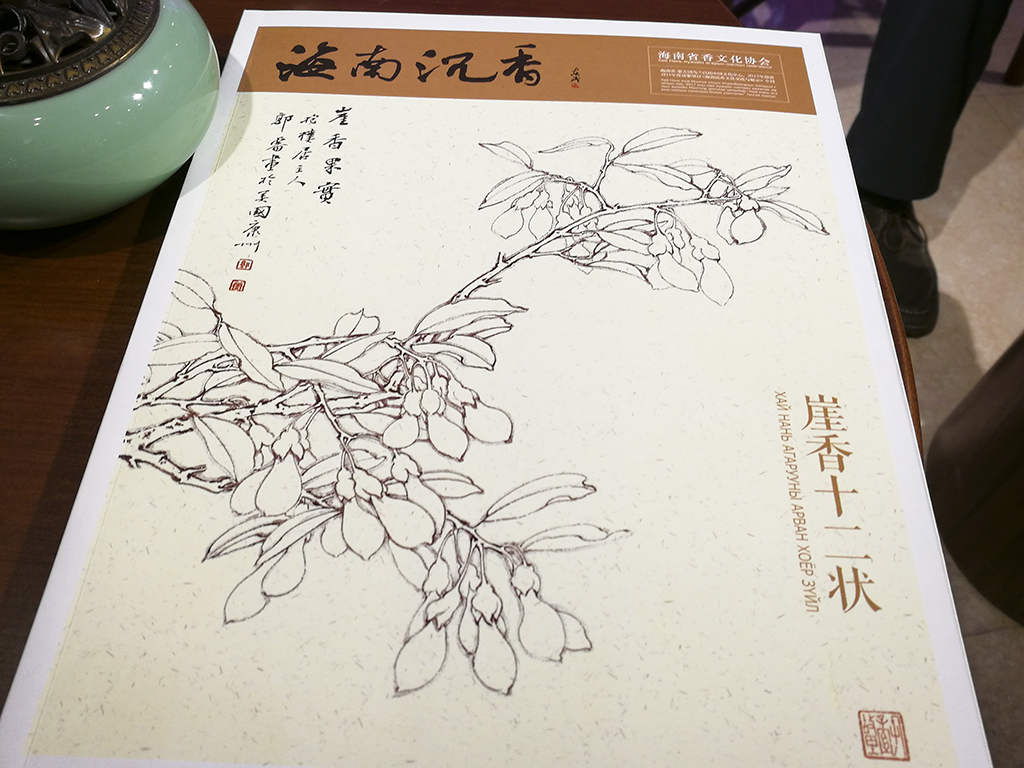 花间一缕魂,随风信邈邈——“闻香识海南”香烟缭绕余韵长