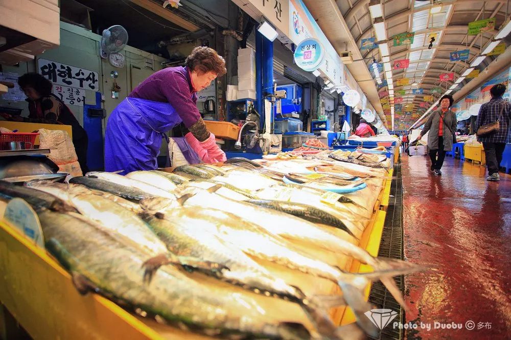 济州岛小众宝藏,世界城市寻宝记济州岛