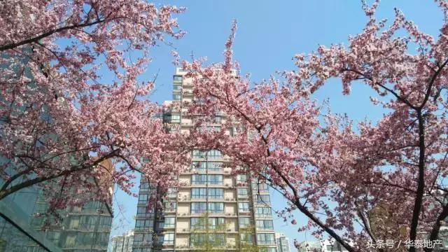 这样的西华泰，谁敢住！