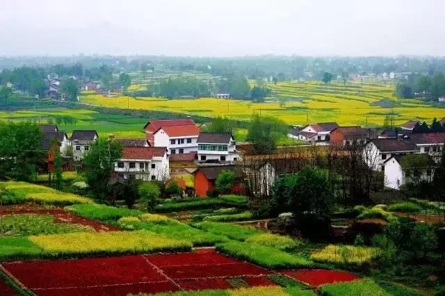 收藏！西成高铁12月6日开通，青白江人的独家攻略来啦！