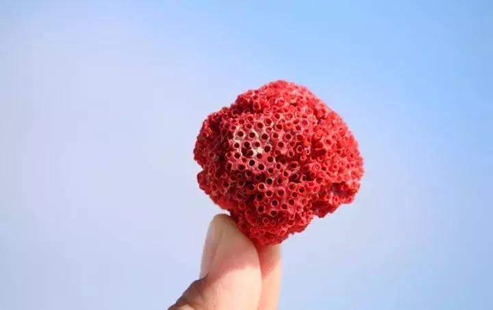 只对中国人开放的岛,只对中国人开放的沙漠