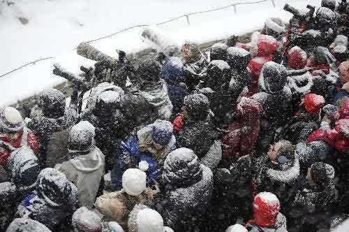 大熊猫龙凤胎宝宝名字,给宝宝取有关大熊猫的名字