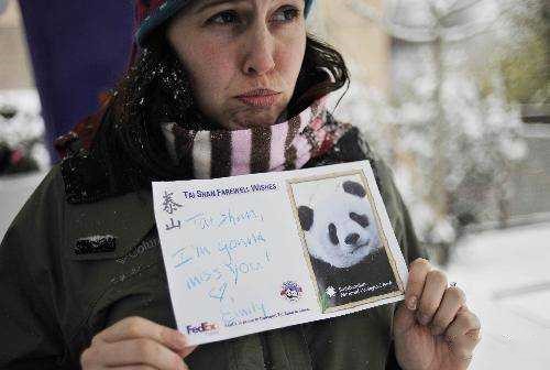 大熊猫龙凤胎宝宝名字,给宝宝取有关大熊猫的名字