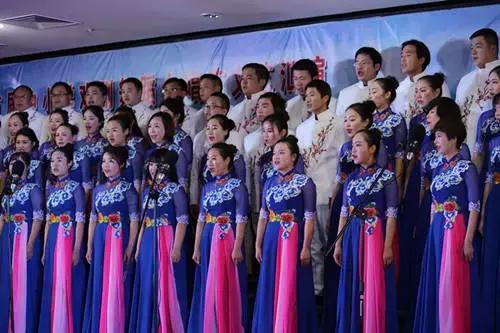 平桥小学艺术节12届,平桥区小学演出