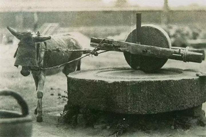 一家值得你品尝的驴肉火锅,超正的驴肉火锅