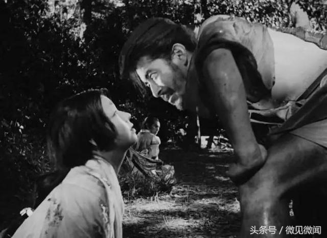 罗生门细思极恐的细节,罗生门真相分析