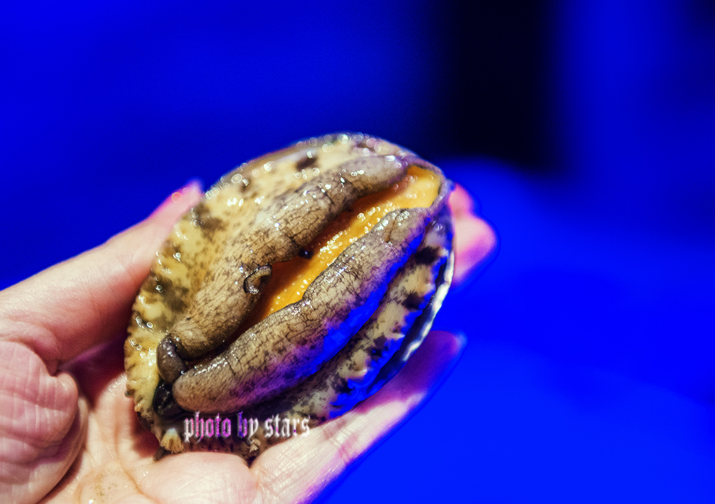 又一家暖爆上海冬天的网红黄金锅，让你穿越TVB