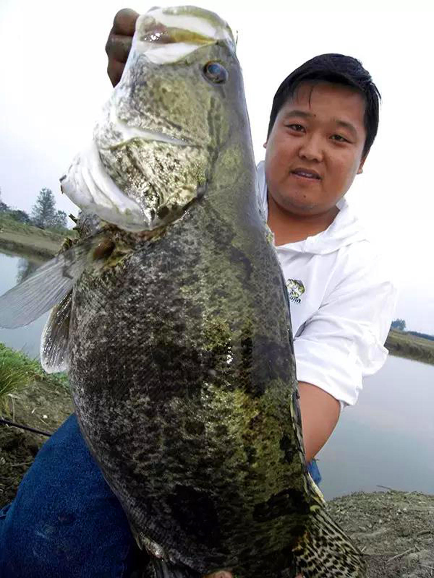 路亚鳜鱼技巧和口诀,夏季路亚鳜鱼攻略